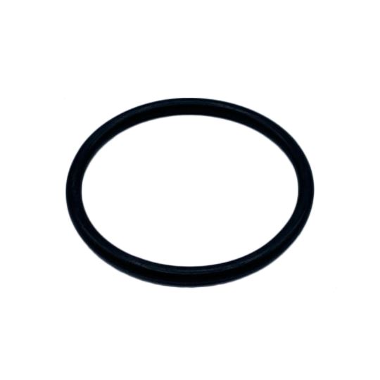 MELAG O-Ring für Spülarmaufnahme